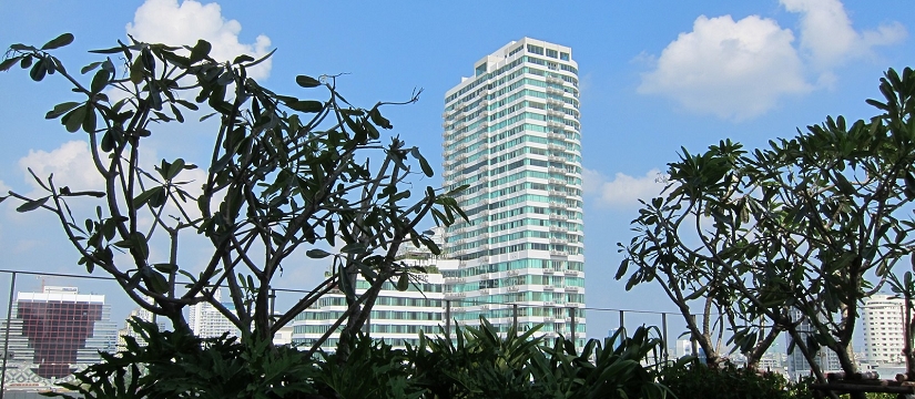 img_1490_r.jpg