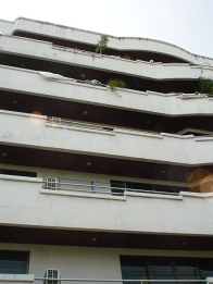 画像 22 jan 2005 063.jpg